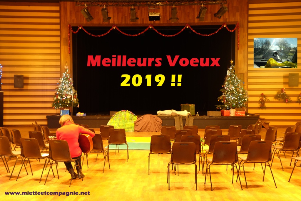 Voeux2019 web